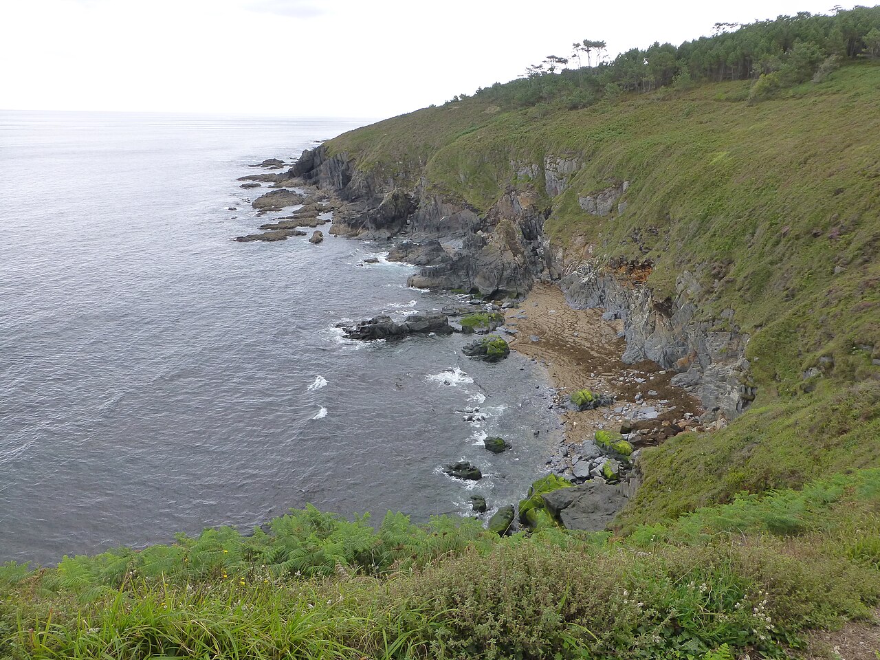 Navia