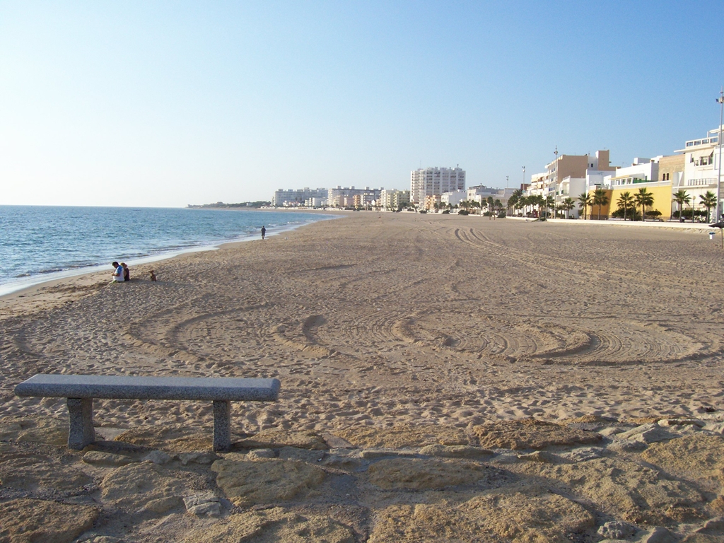 Rota