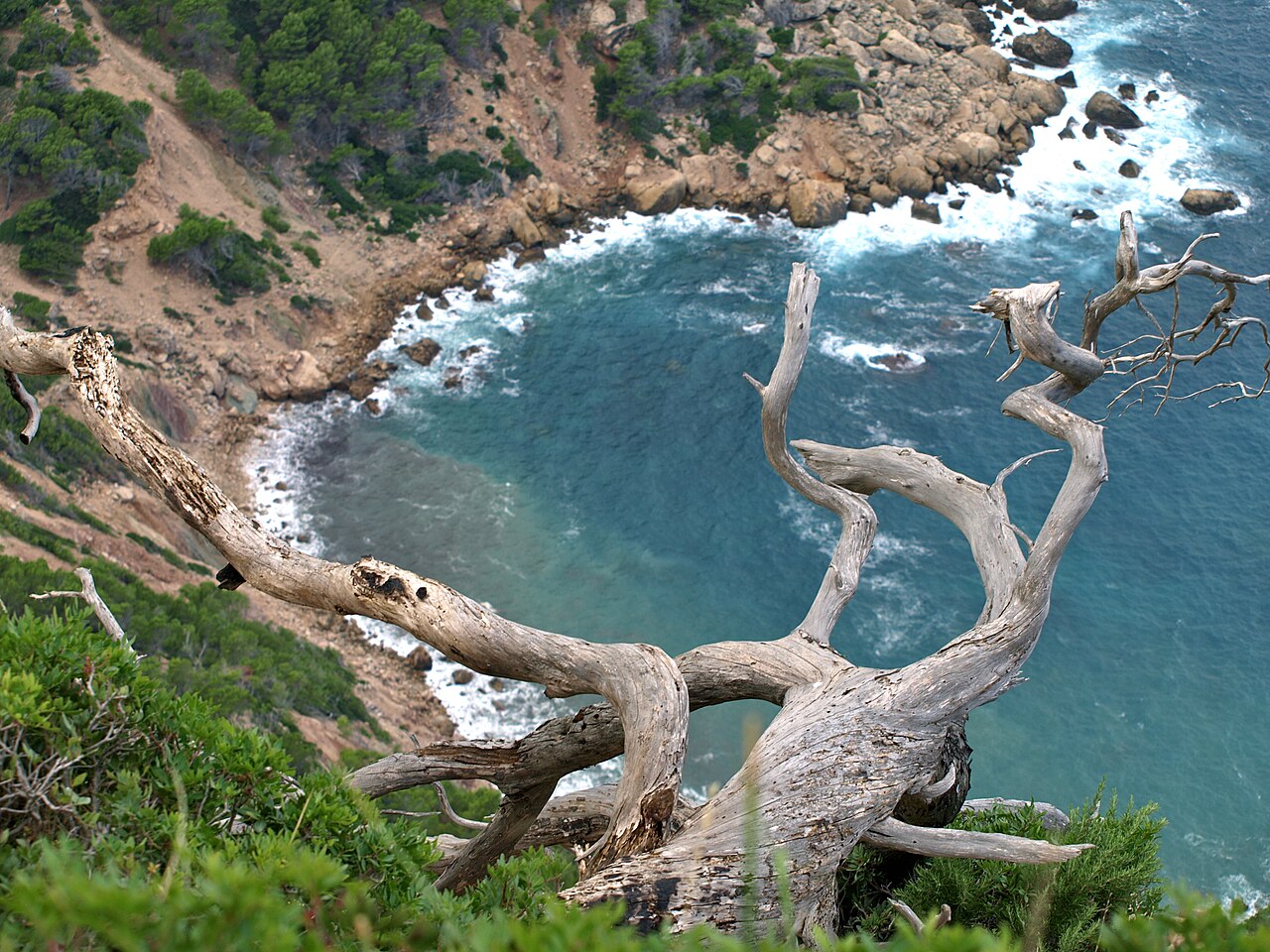 Sant Elm
