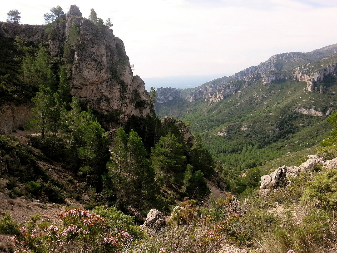 Vandellòs